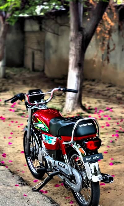 cd 70t Brand new bike