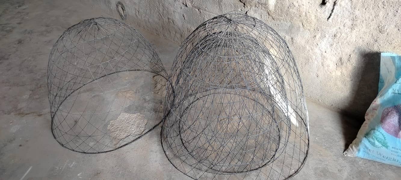 tokray 1