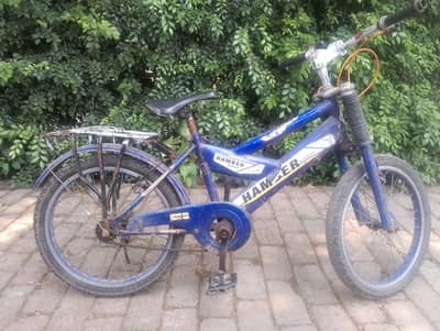 Two Hamber Bicycles