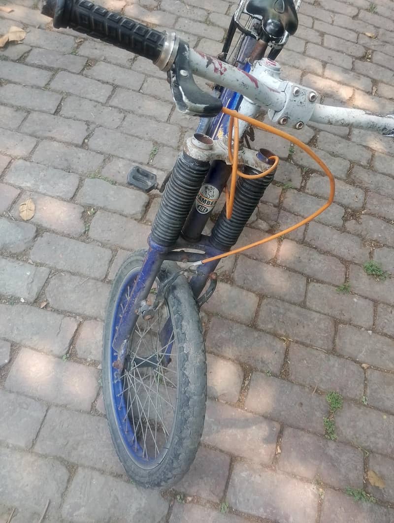 Two Hamber Bicycles 4