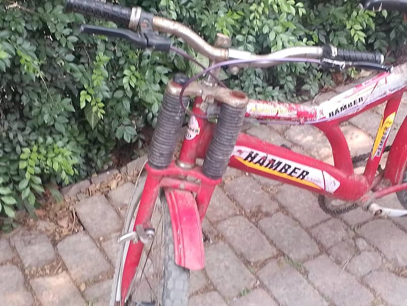 Two Hamber Bicycles 5