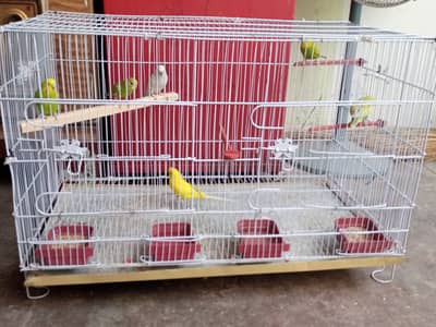 6piece hy bilkul ok with cage