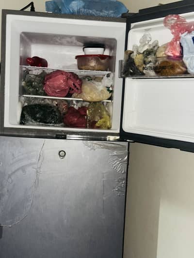 New freezer