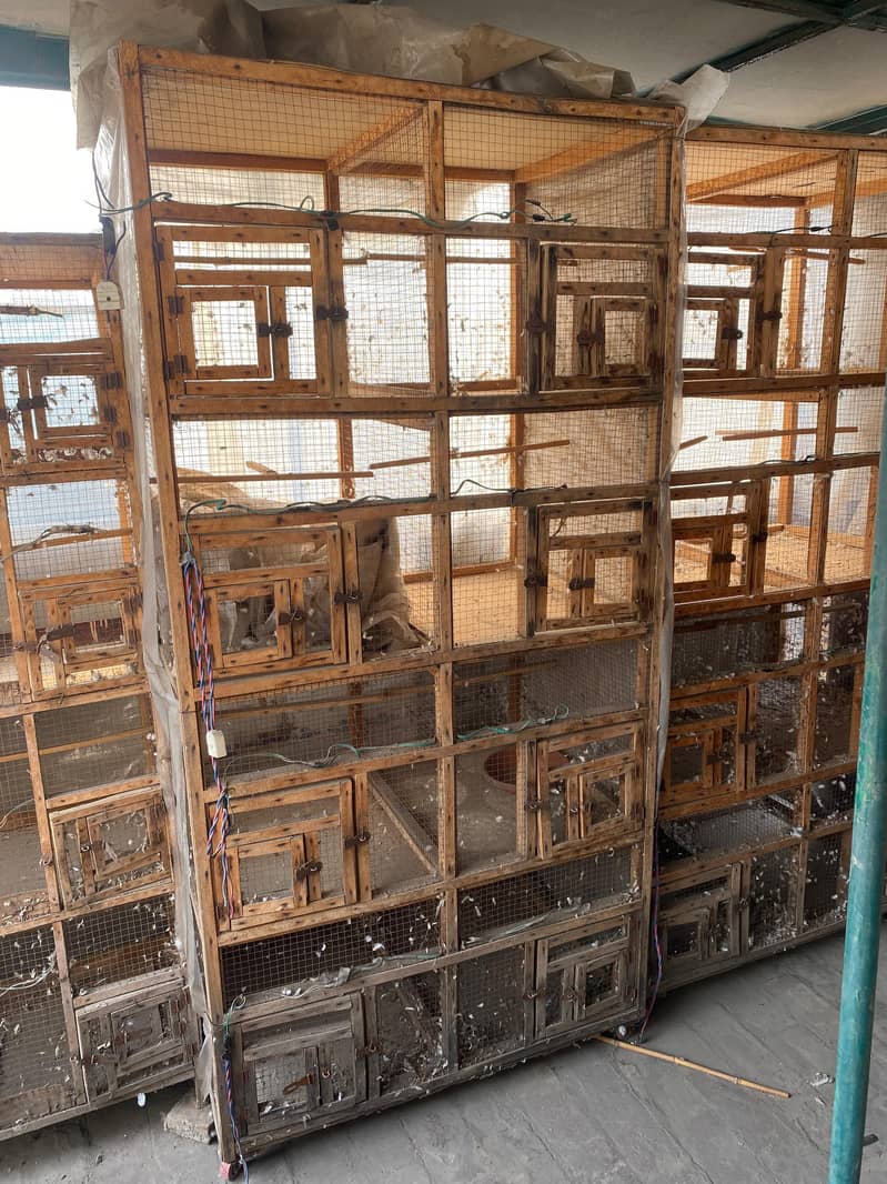 8 box cages 1