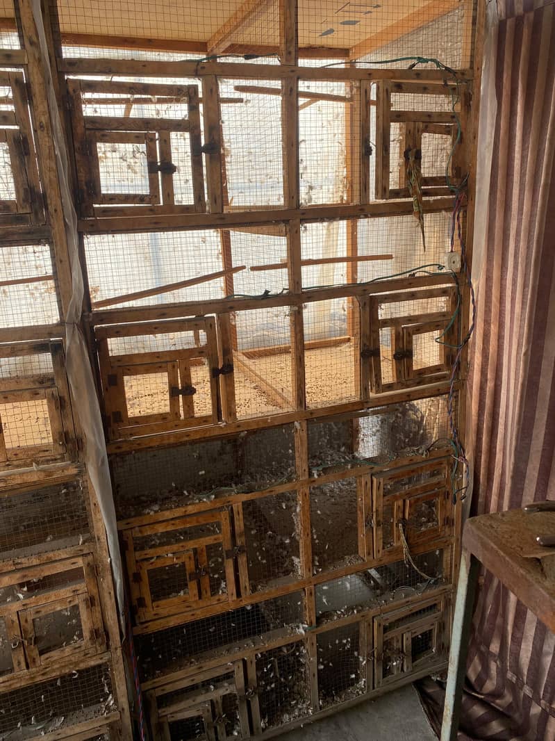 8 box cages 2