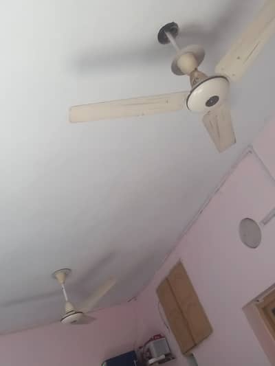 4 celling fans of Pak fans company 75Wto 80W