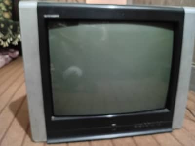 singer TV