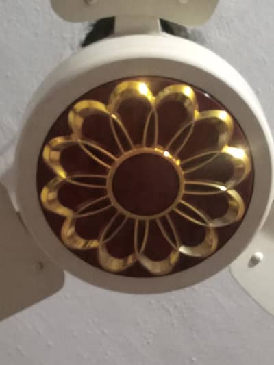 Ceiling Fans in Good conditions