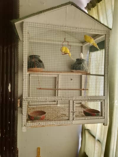 parrots cage