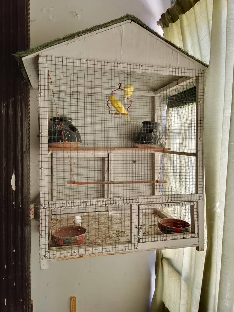 parrots cage 1