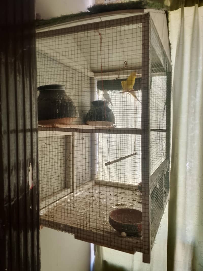 parrots cage 2