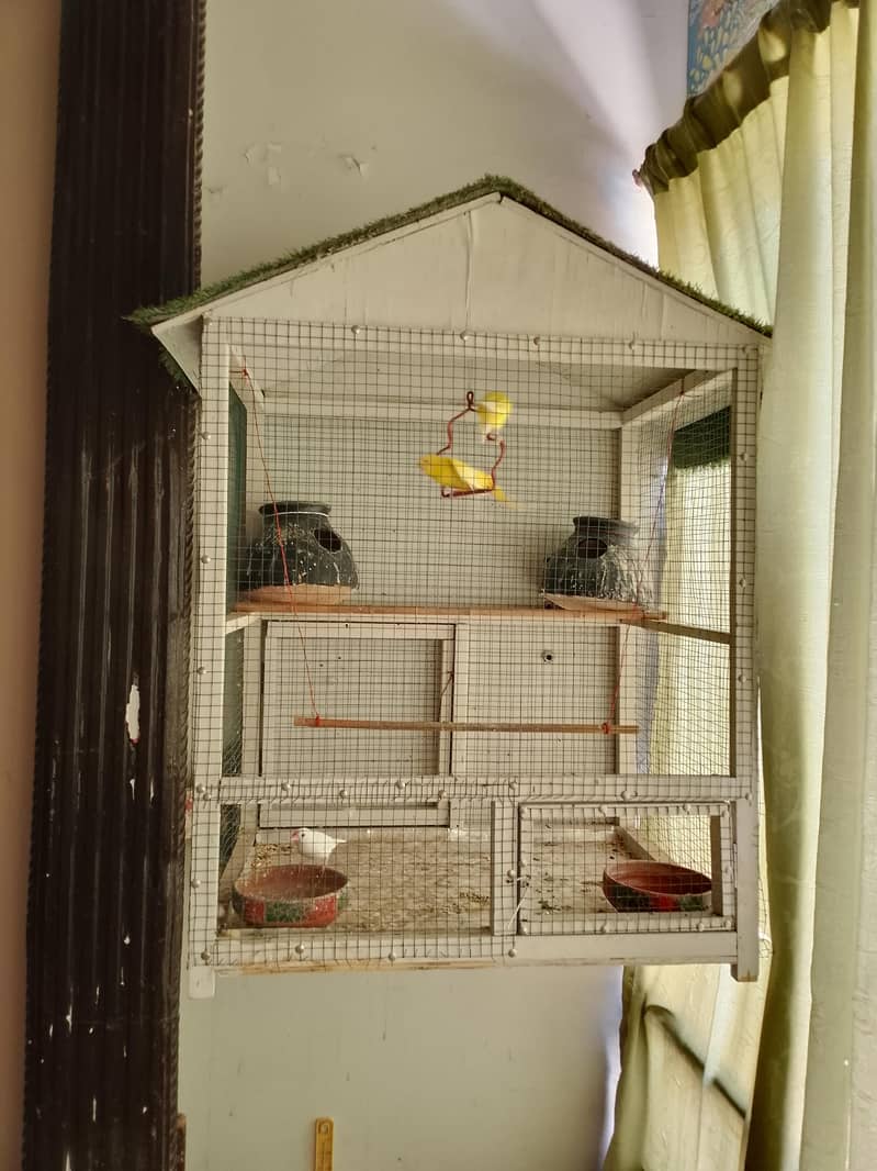 parrots cage 3