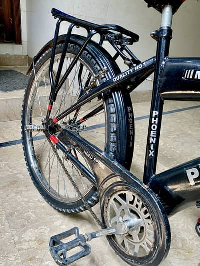 Cycle big size