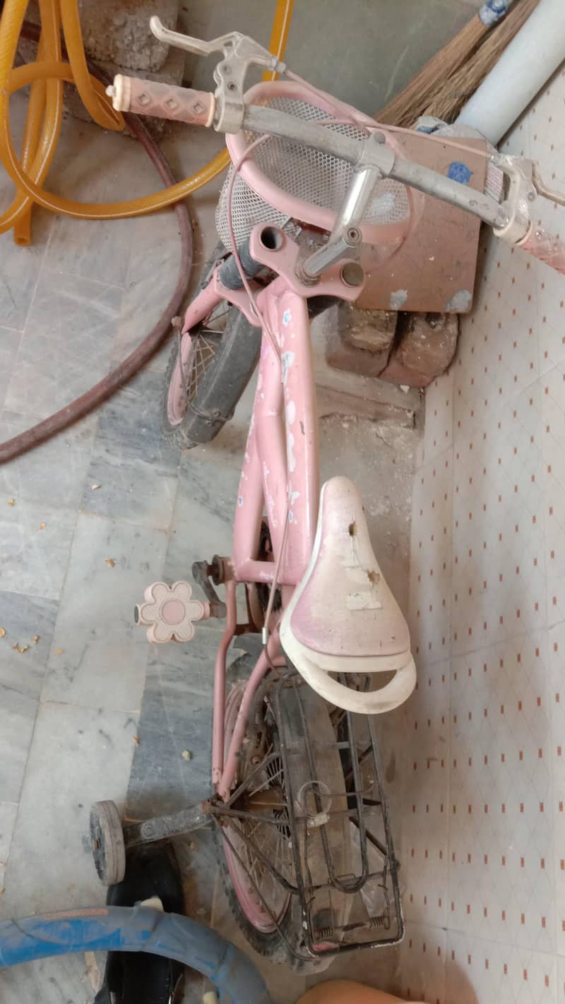 baybe cycle 1