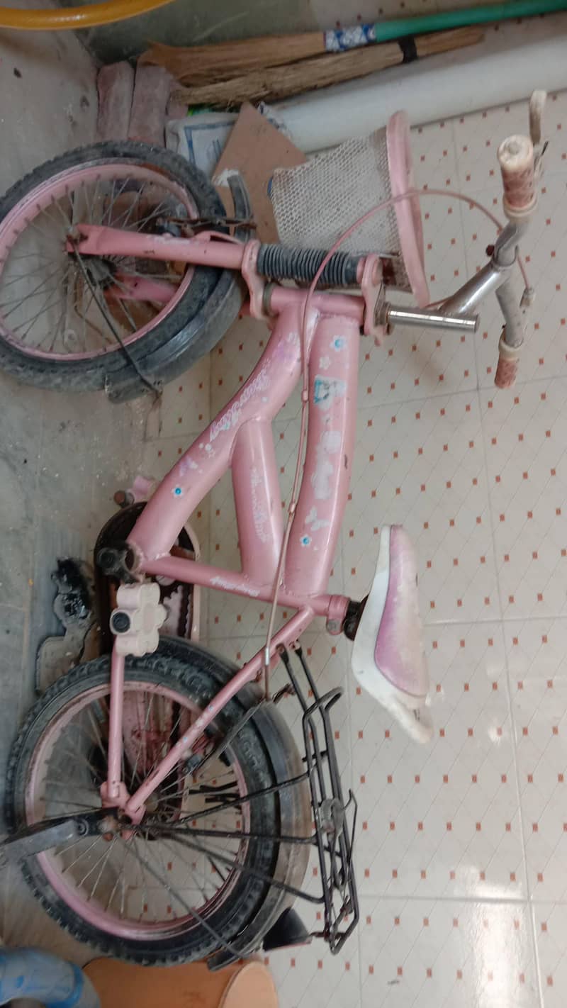 baybe cycle 2