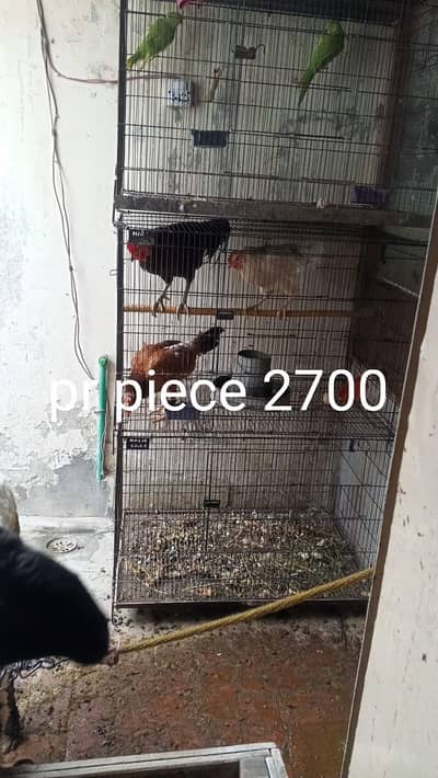 pinjre and perat  for sale