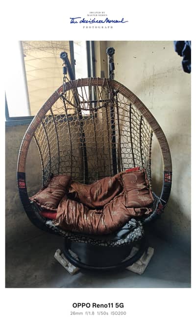 Swing and cushions
