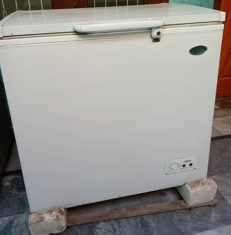 INTERCOOL DEEP FREEZER SINGLE DOOR 1