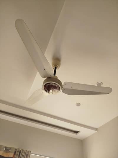 Fan ceiling