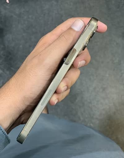 13 pro max dual pta golden