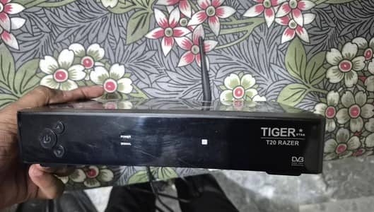 Tiger dish reciver