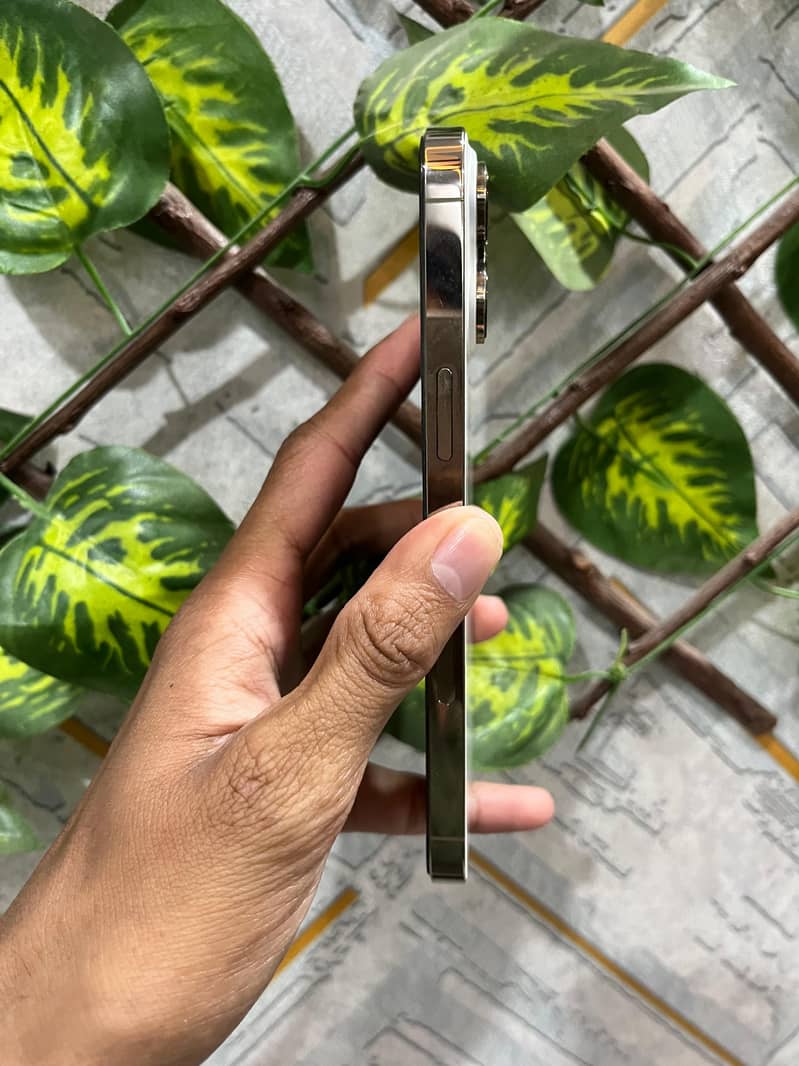Iphone 14 pro max 3