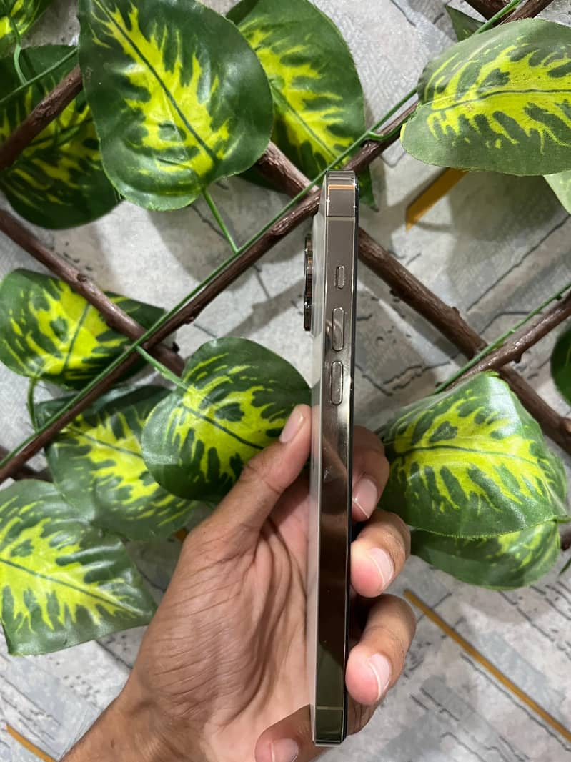 Iphone 14 pro max 4