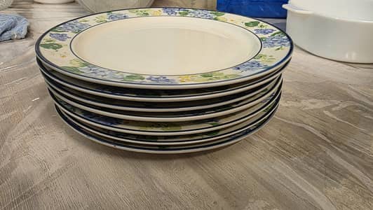 7 Dinner Plates (Rice plates)