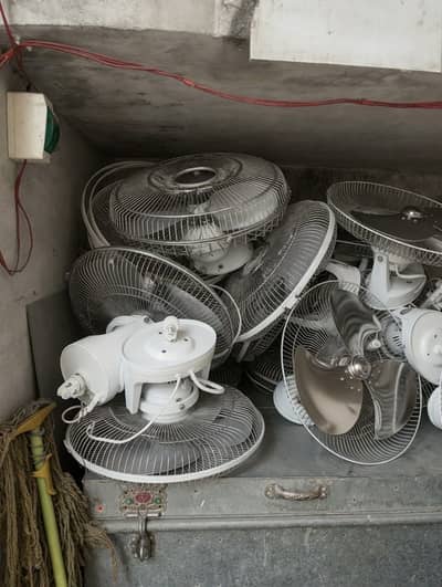 Fan Royal Original Copper Motor