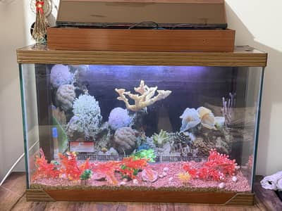 Fish Aquarium with LED Light, Filter, Pump, Heater and Full Decoration