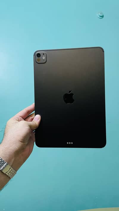 Ipad m4 256 86% battery health