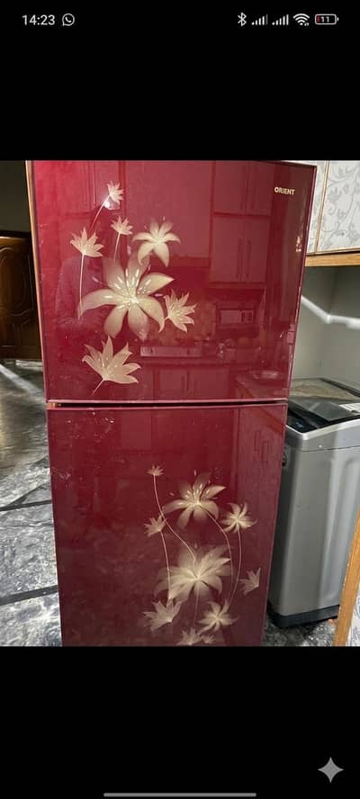 Orient glass door fridge medium size