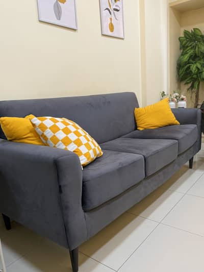 Sofa and TV Console