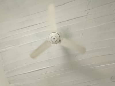 Ceiling Fan