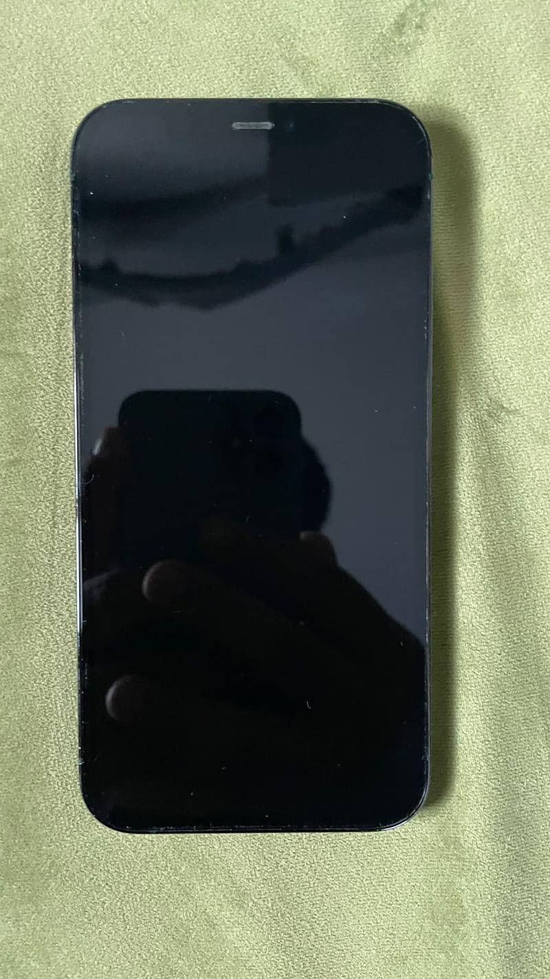 12 pro 1