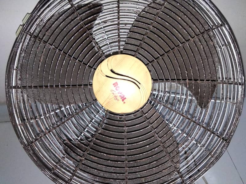 Fan Royal 0