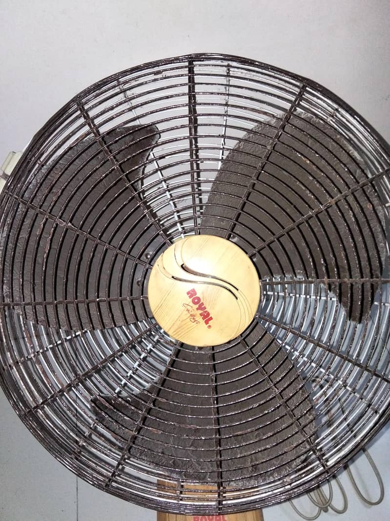 Fan Royal 1