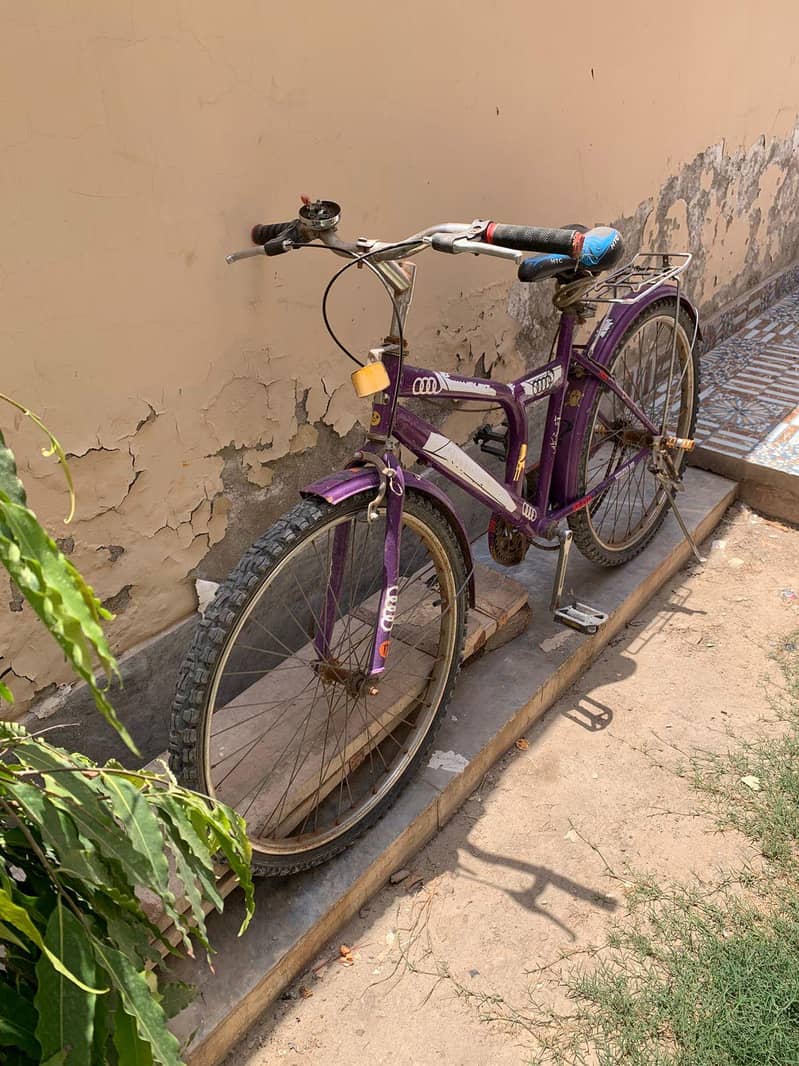 bicycle 2