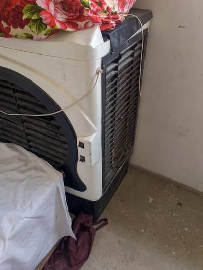 air cooler