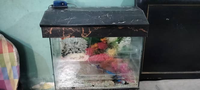 Aquarium