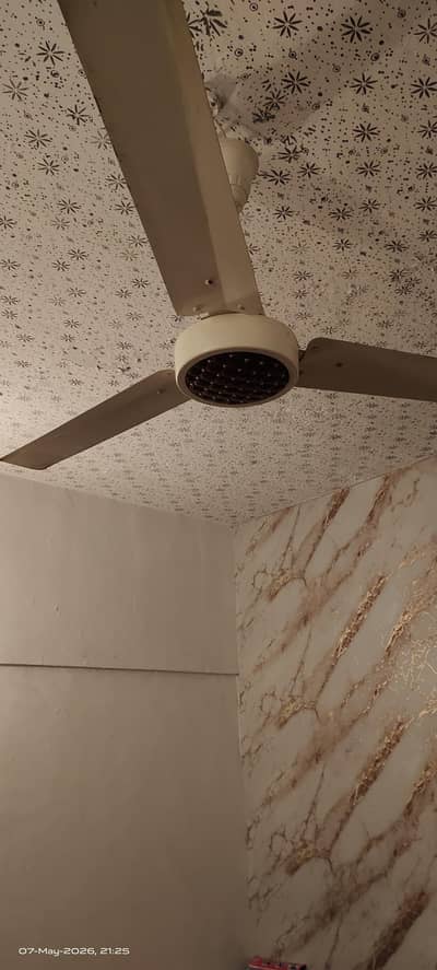 fan normal new