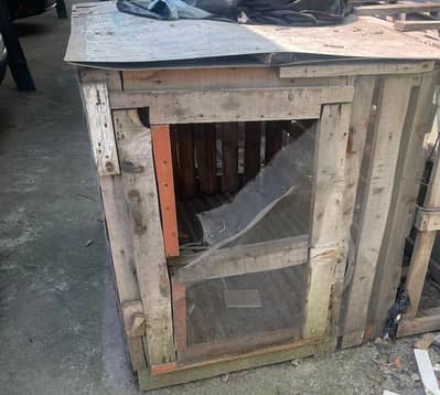 Hen n 2 animal cages