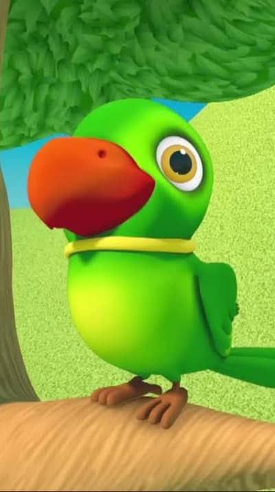 G. ree. n Parrot female nail tail 101%