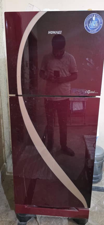 Homage Glass Door Refrigerator 2023