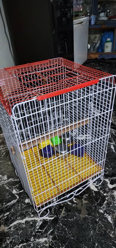 coctail and Cage