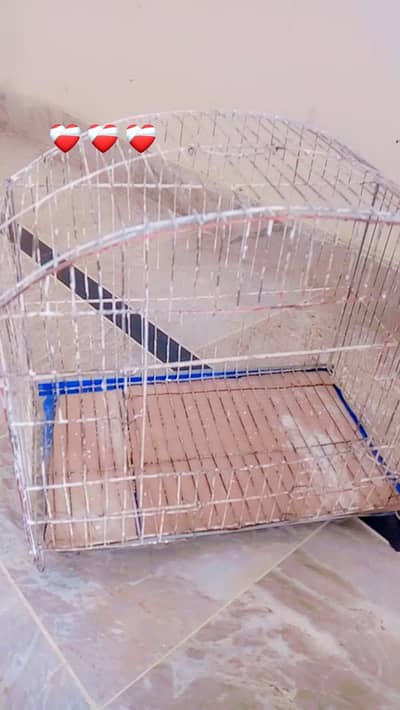 parrot chage for sale