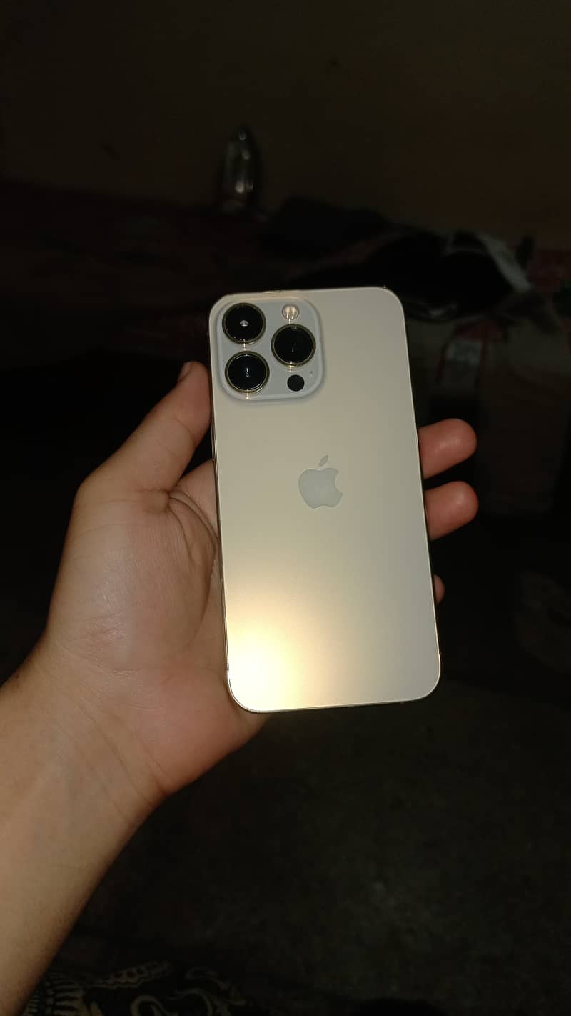iphone 13 Pro 1