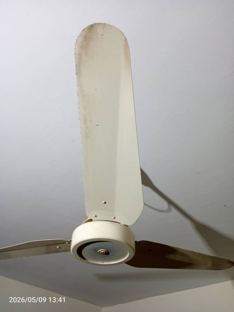 ceiling fans 1