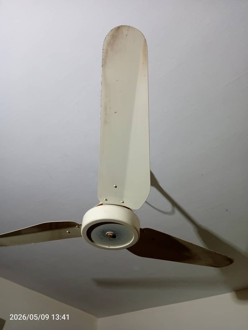 ceiling fans 2