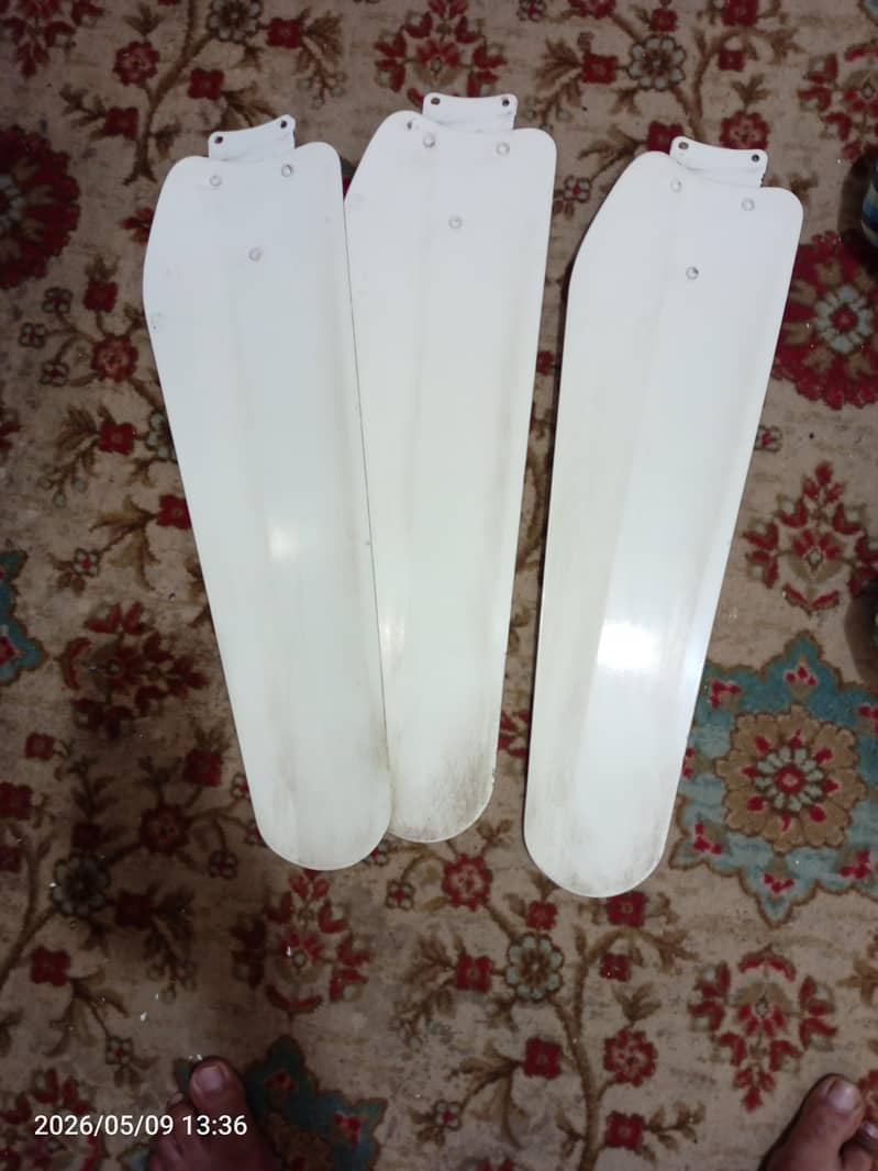 ceiling fans 5